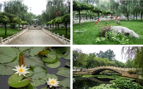 石家莊東華鐵路學校環境