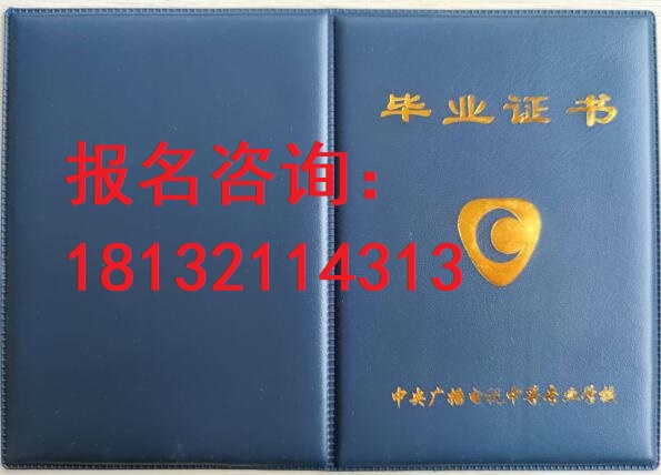 電大中專報名官網入口