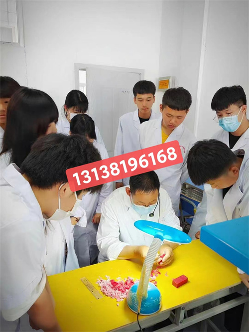 石家莊白求恩醫學院分數線